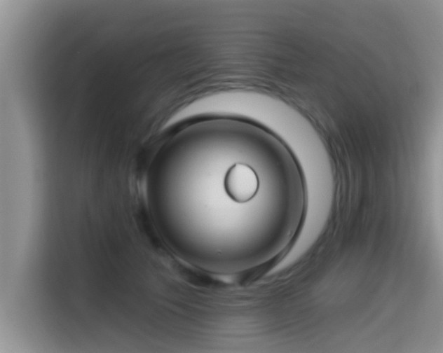 X0000115290609200911090953