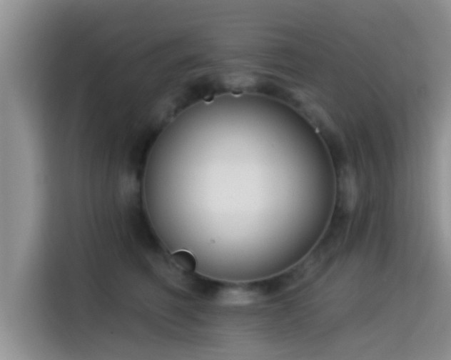 X0000115290614200911090953