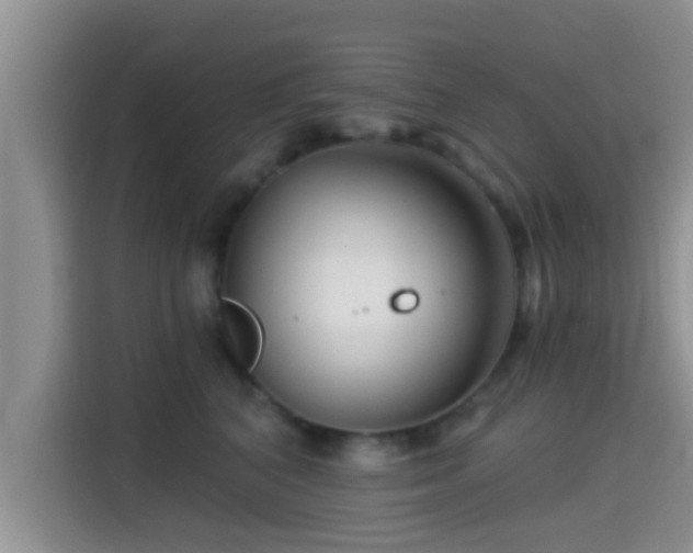 X0000115290616200911090953