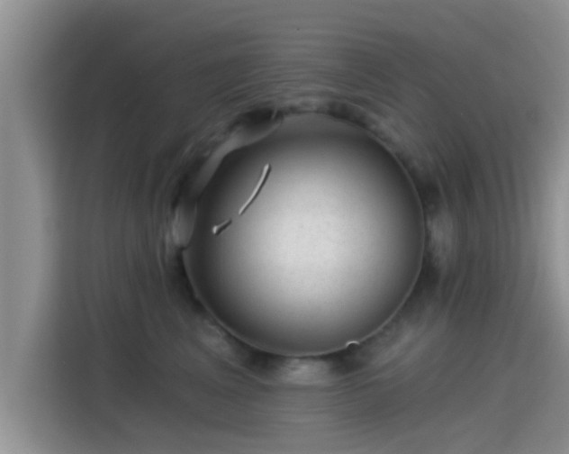 X0000115290617200911090953