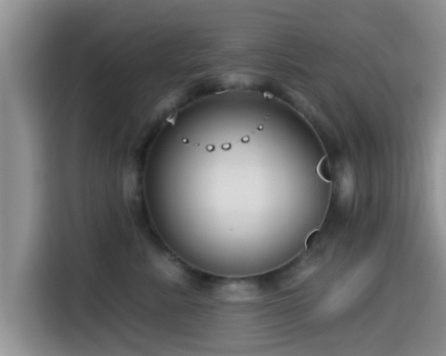 X0000115290619200911090953