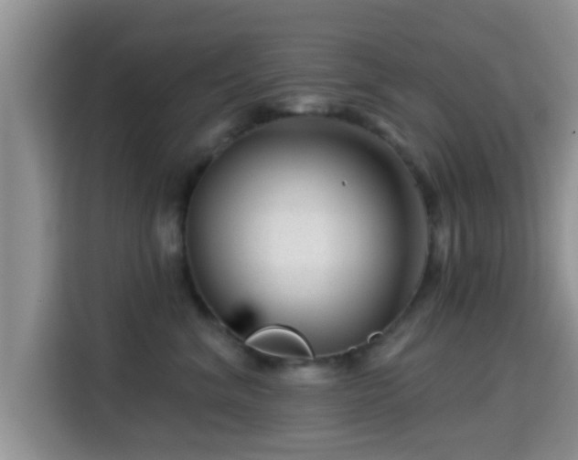 X0000115290620200911090953