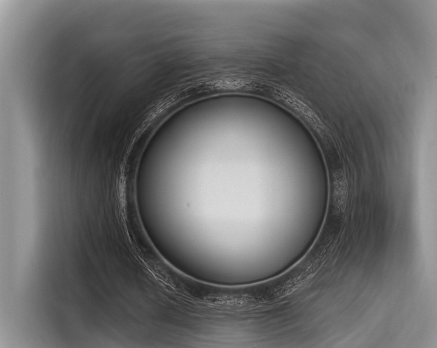 X0000115290626200911090952