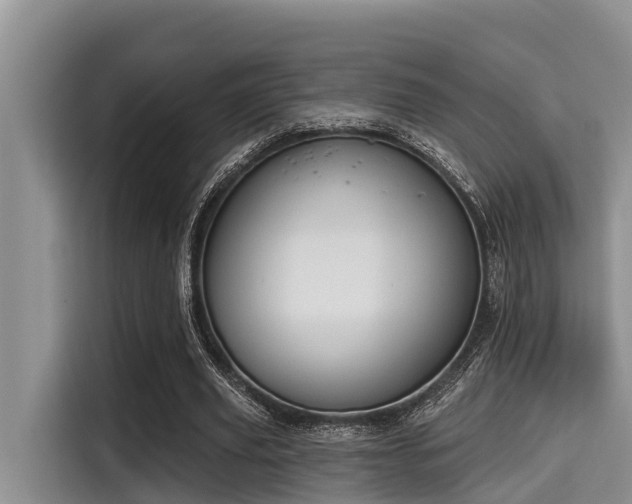 X0000115290629200911090952