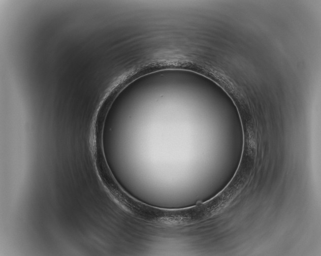 X0000115290630200911090952