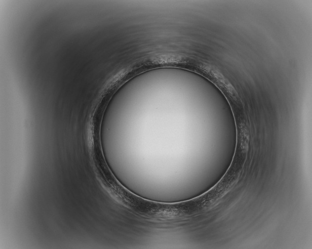 X0000115290631200911090952