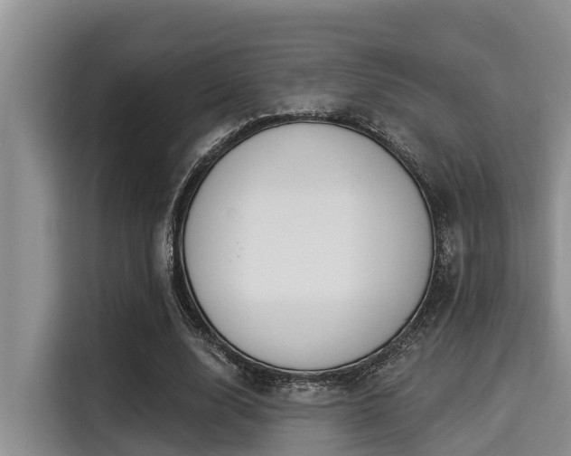 X0000115290632200911090952