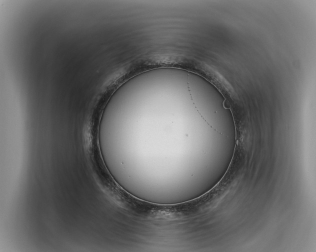 X0000115290635200911090952