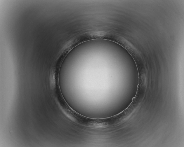 X0000115290638200911090953