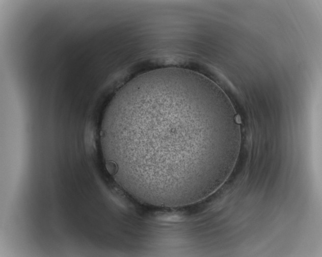 X0000115290643200911090953