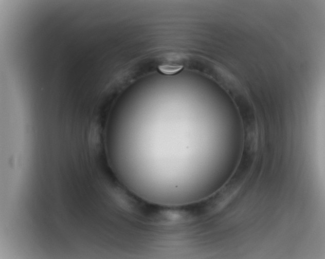 X0000115290654200911090953