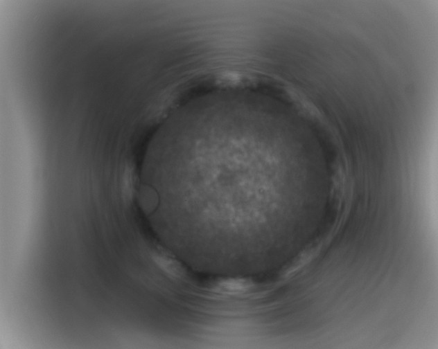 X0000115290659200911090953