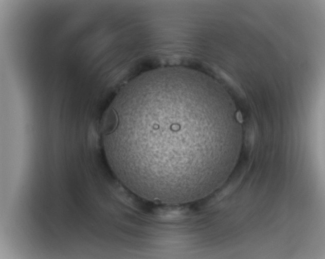 X0000115290661200911090953