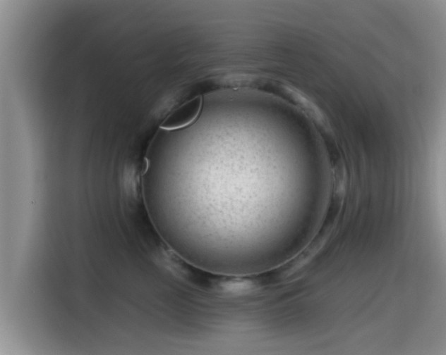 X0000115290669200911090953