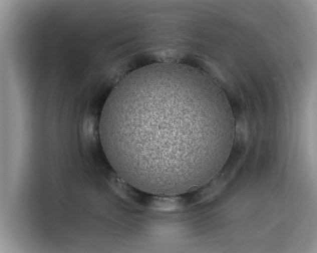 X0000115290671200911090953