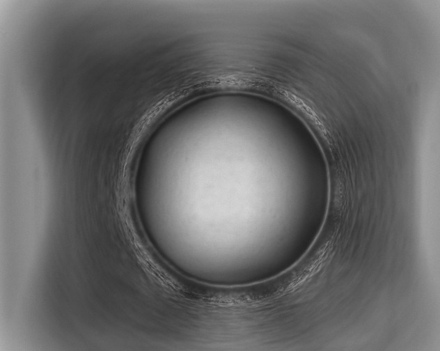 X0000115290673200911090952