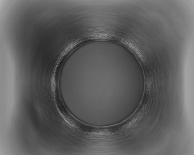 X0000115290674200911090952