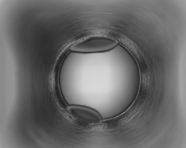 X0000115290676200911090952