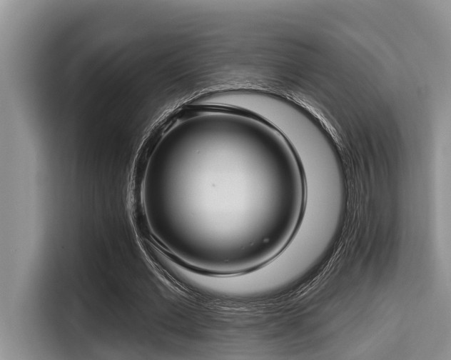X0000115290677200911090952
