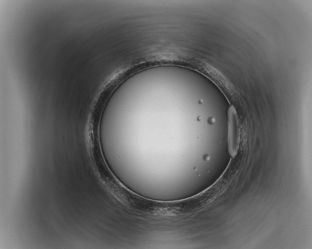 X0000115290680200911090952