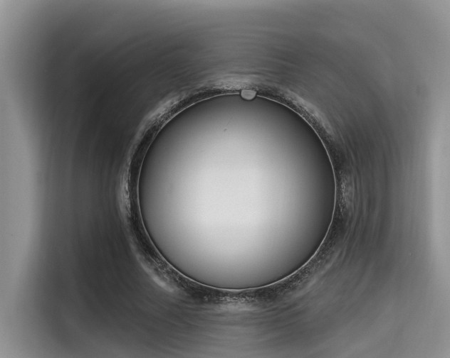 X0000115290682200911090952