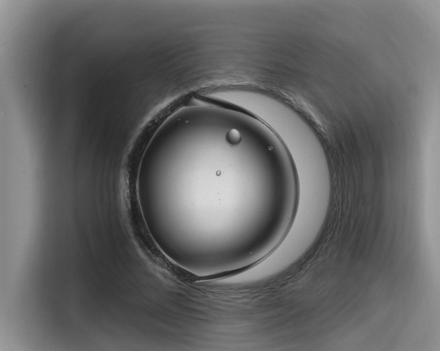 X0000115290684200911090952