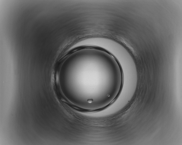 X0000115290685200911090952