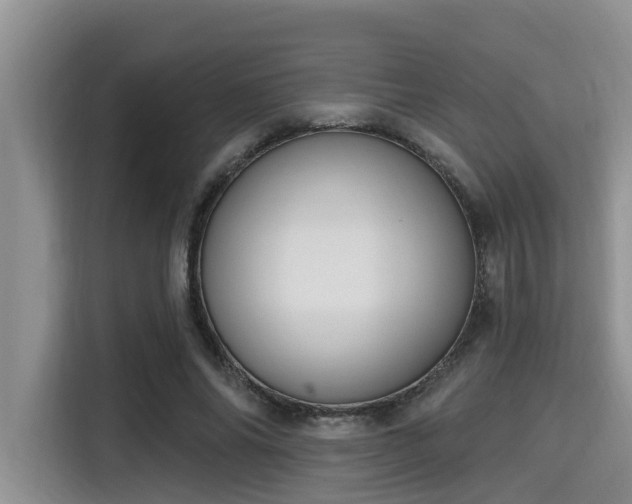 X0000115290686200911090952