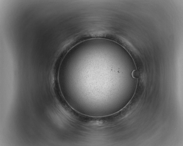 X0000115290687200911090952
