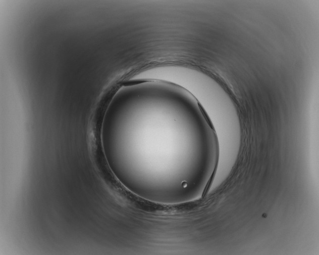 X0000115290688200911090952