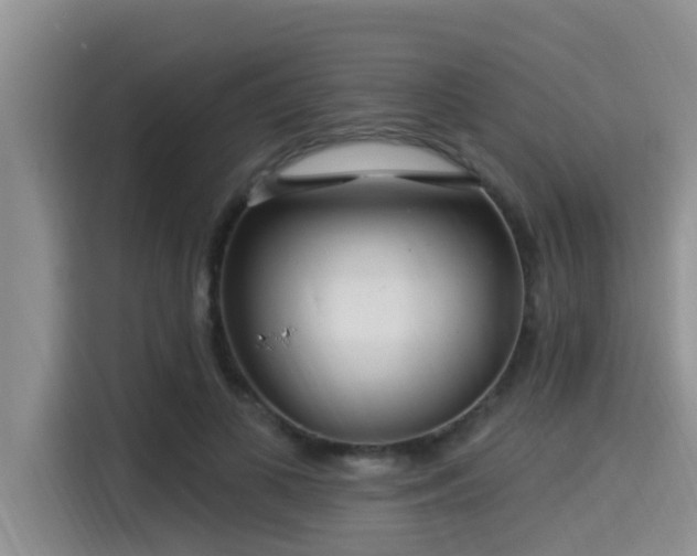 X0000115290693200911090952