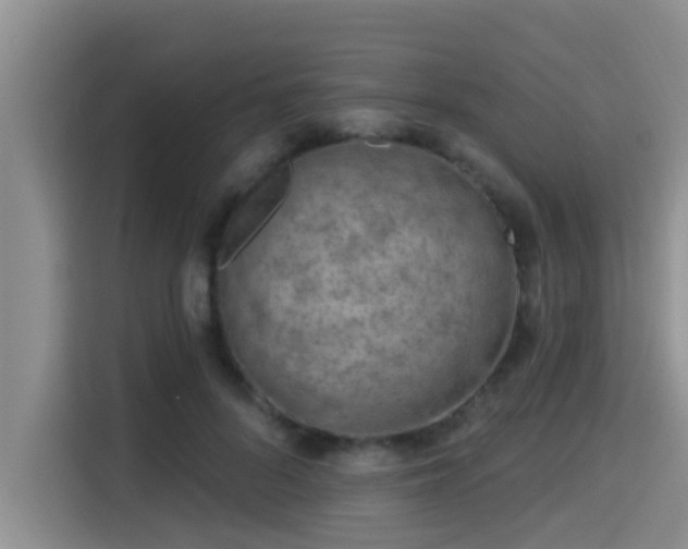 X0000115290696200911090952