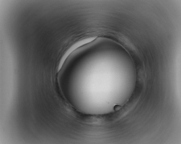 X0000115290697200911090952