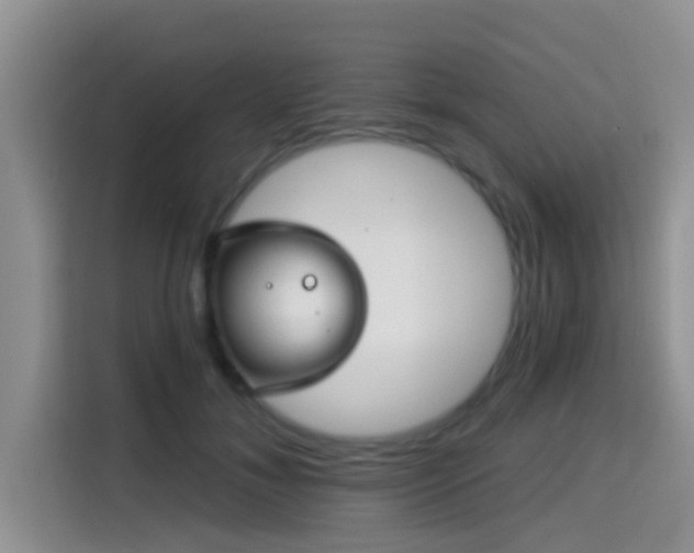 X0000115290700200911090952