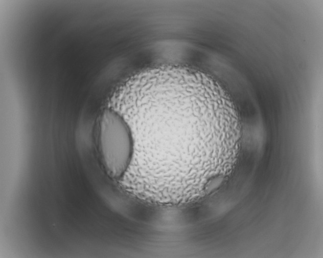 X0000115290701200911090952
