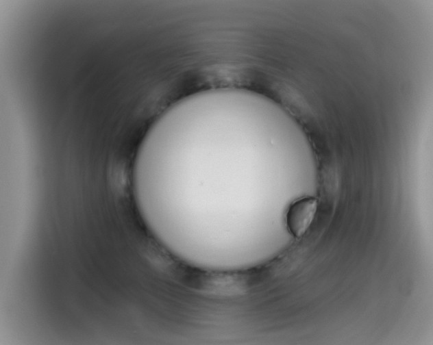 X0000115290709200911090952