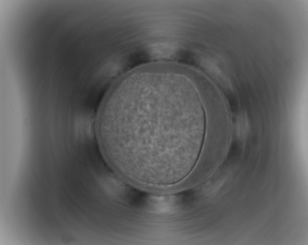 X0000115290712200911090952