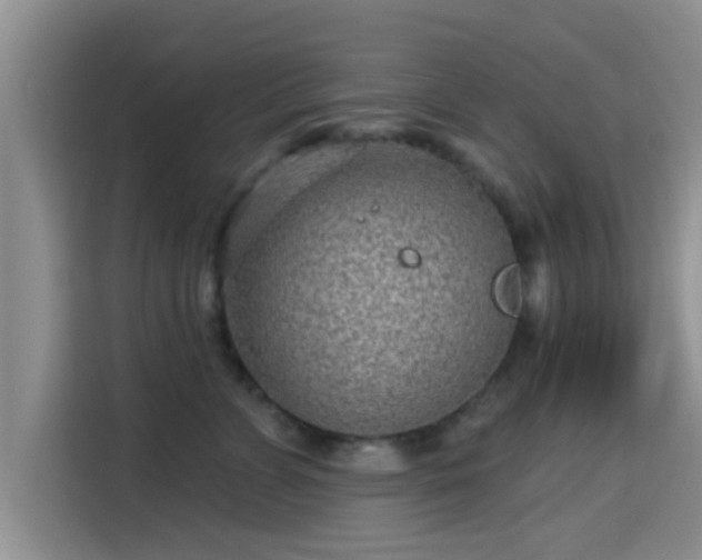 X0000115290715200911090952