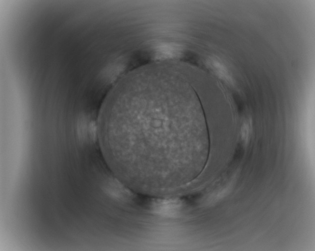 X0000115290716200911090952