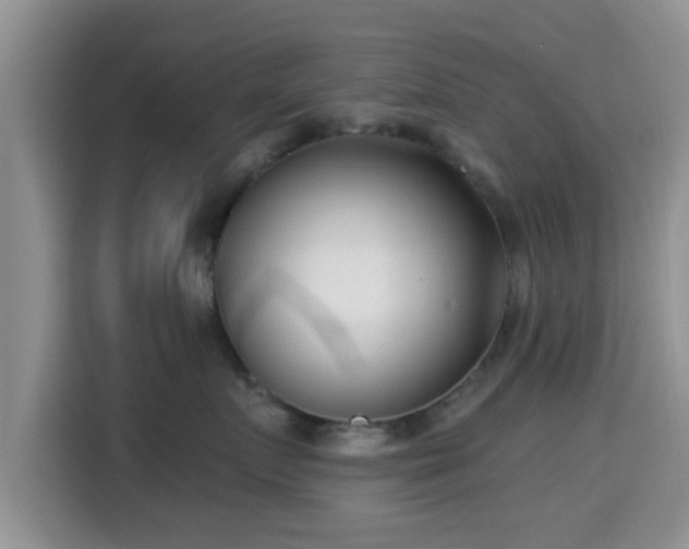 X0000115290719200911090952