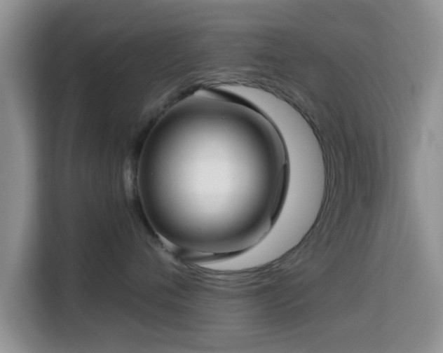 X0000115290720200911090952