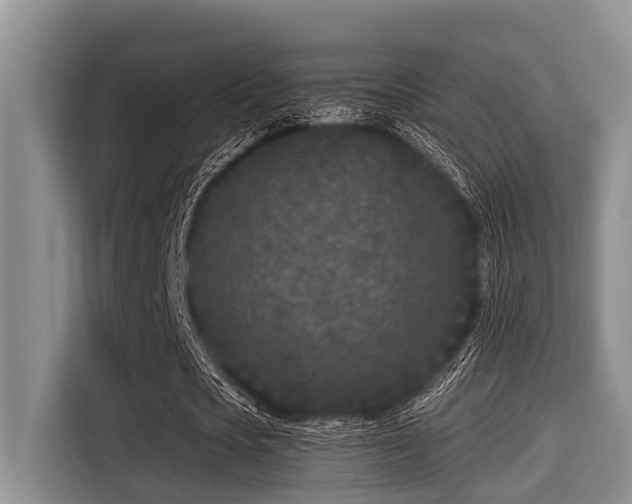 X0000115290721200911090951