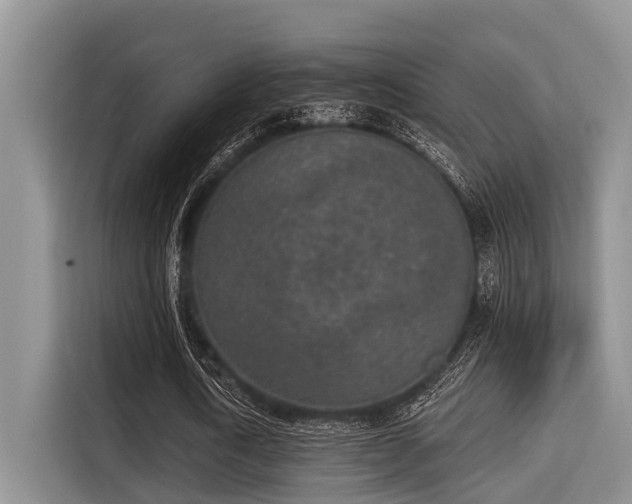 X0000115290722200911090951