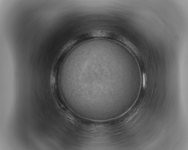 X0000115290723200911090951