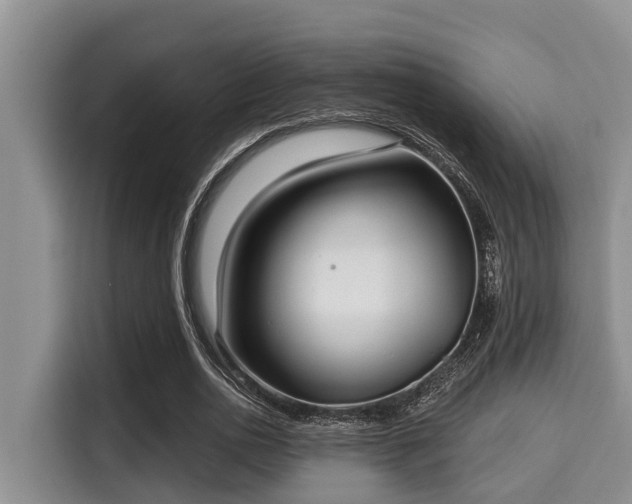 X0000115290726200911090951