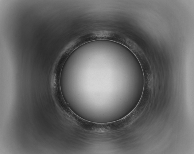X0000115290731200911090951