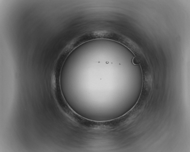 X0000115290734200911090951