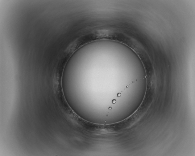 X0000115290737200911090951