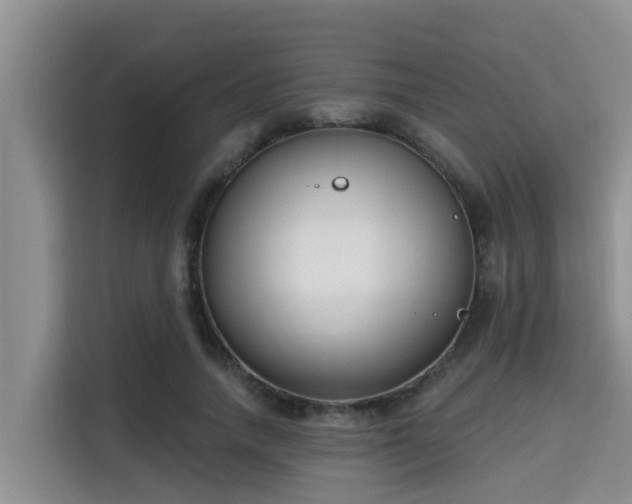 X0000115290738200911090951