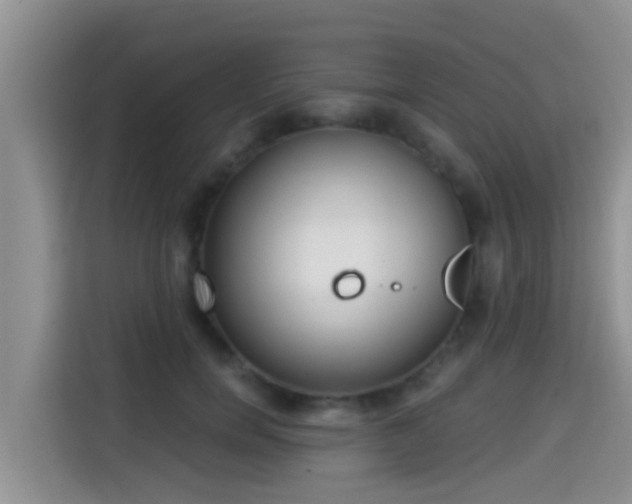 X0000115290750200911090951
